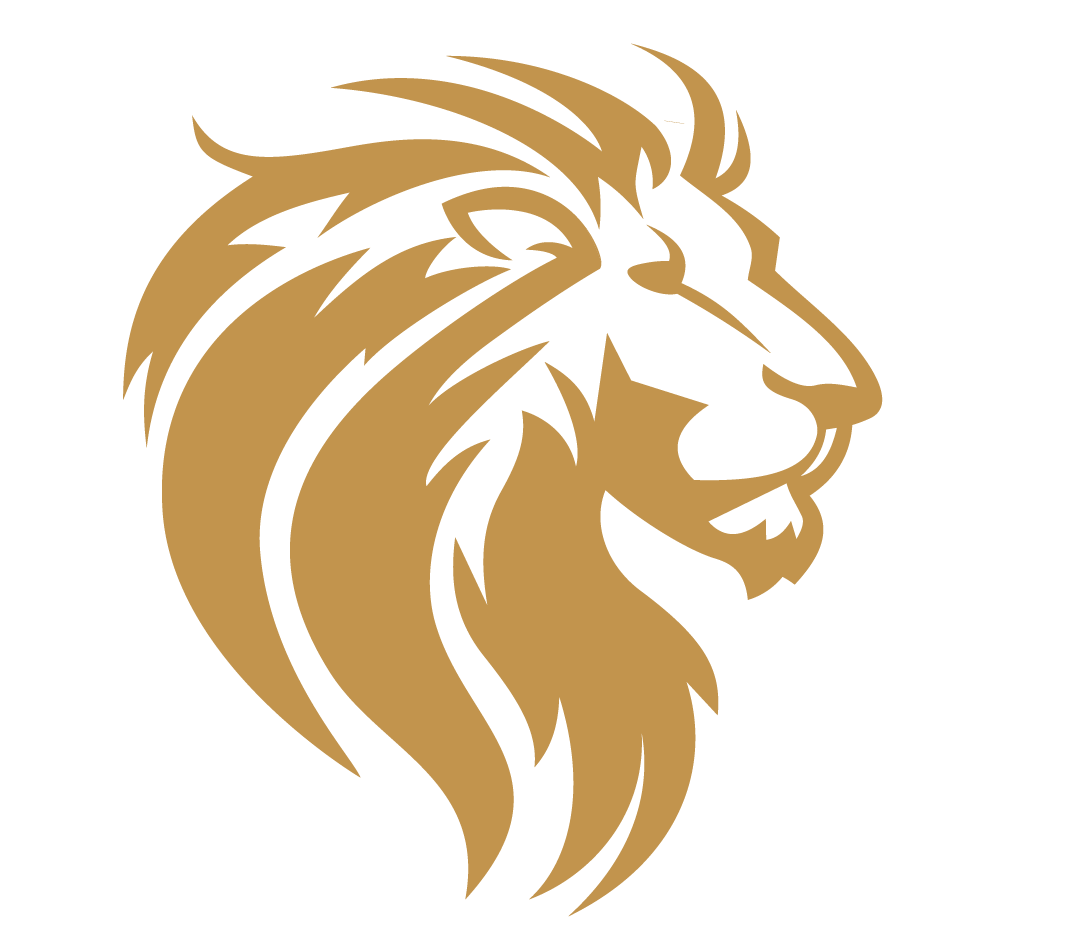 Africa Gold Insider